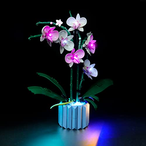 LED Light Kit for Lego Orchid 10311 Plant Decor Building Set; Decoration Lights Build a Succulents Display Piece for The Home or Office (Lights Only, No Lego Models) - color: 10311 Orchid, size: Sensing Version