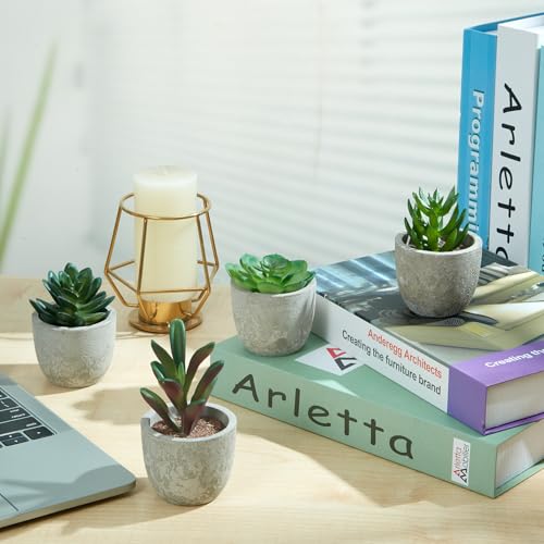 Artificial Succulent Plants in Pots, Set of 5 Mini Fake Succulents for Indoor Home Decor, Small Faux Potted Greenery for Office Desk, Shelf, Bathroom, or Modern Boho Rustic Room Decoration
