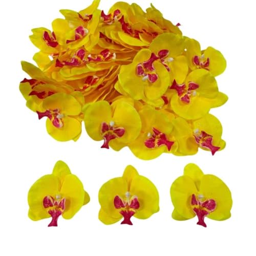 Corkwaw 50 Pcs Orchid Petals Artificial Decorations Orchids Heads Flowers Faux Silk Phalaenopsis Butterfly Flower Heads for Handmade DIY Home Wedding Party Decoration (Yellow) - color: Yellow