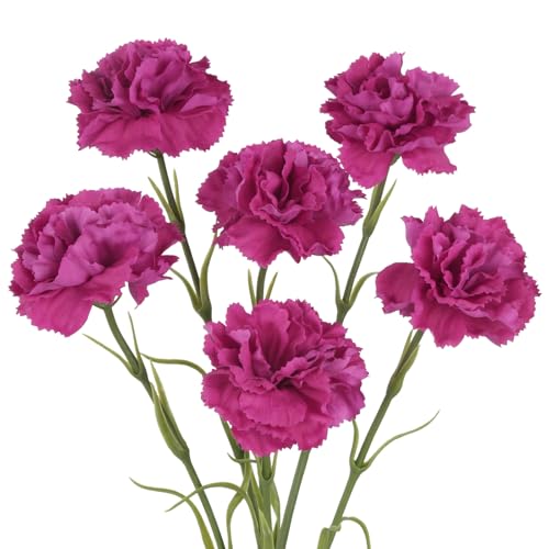 IPOPU Carnations Artificial Flowers,6PCS Real Touch Faux Flowers 20'' Realistic Long Stem Fake Carnations for Tall Vases Wedding Party Mother's Day Home Decoration (Rose Red) - color: Rose Red