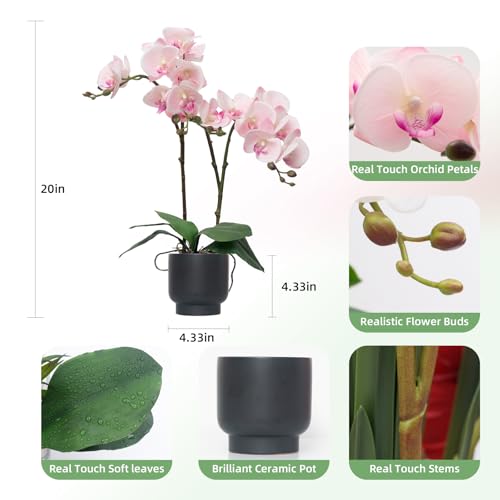 CXGS Orchids Artificial Flowers Real Touch Fake Flowers in Ceramic Pot 20" Pink Faux Orchid Plant Lifelike Silk Phalaenopsis for Centerpiece Hotel Home Indoor Decor - color: Pink- Black Vase