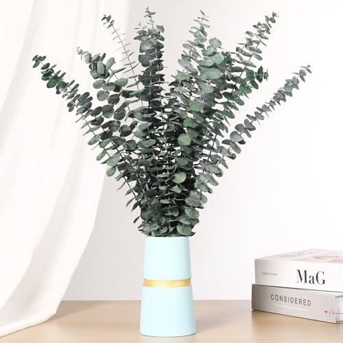 20 Pcs Dried Eucalyptus Stems, 17'' Natural Real Live Greenery Eucalyptus Leaves Branches Hanging Shower, Preserved Dried Plants for SPA Home Fragrance Bathroom Table Vase Decor - color: Green