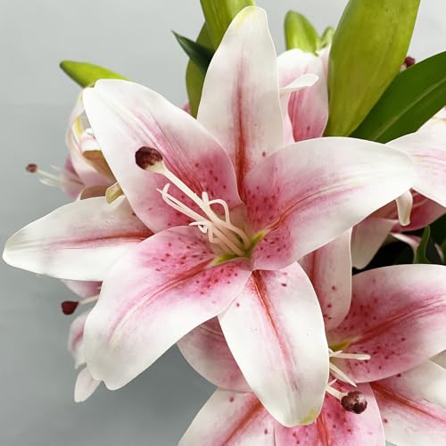 YalzoneMet 2 Pcs Pink Stargazer Lily Artificial Flowers for Decoration, 28 inch Long Stems Real Touch Latex Fake Flowers, Faux Silk Easter Lily for Spring Indoor Home Office Wedding Table Centerpiece - color: Pink