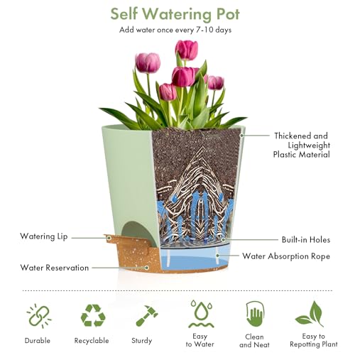 WSMKSZ 7/6.5/6/5.5/5/4 inch Self Watering Pots for Indoor Outdoor Plants, 6 Pack Plastic Flower Planters with Drainage Holes and Removable Saucers, Plant Pots with Wicking Rope, Green Brown - color: Green Brown, size: 7+6.5+6+5.5+5+4inch 6pcs