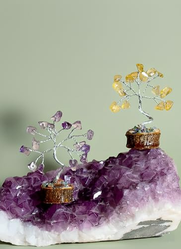 Crystal Tree Set of 12, Thoughtful Gifts for Women, Office Desk Decoration, Home, Shelf Decor for Positive Energy, Money, Reiki Healing, Good Luck, Birthday Gifts for Mom Love Ones - color: 12 Pcs Tree Set