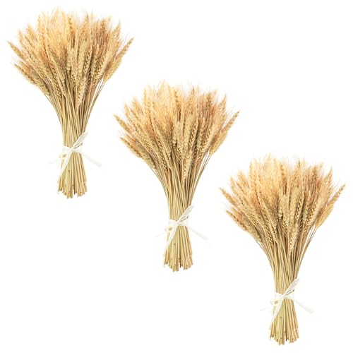 Uieke 17.7 Inches Dried Wheat Stalks, 300 Stems Dried Flowers 100% Natural Wheat for Home Kitchen Wedding Party Table Centerpiece Harvest Wreath Boho Farmhouse DIY Fall Decor - color: 300 Pcs
