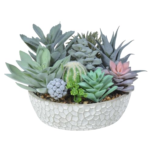 Premium Assorted Artificial Succulent Collection - Large Real Touch Artificial Cactus, Aloe Vera & Succulent Plants Artificial with Pots for Home Office Indoor (Artificial Glass - Pot) - color: Artificial Glass - Pot