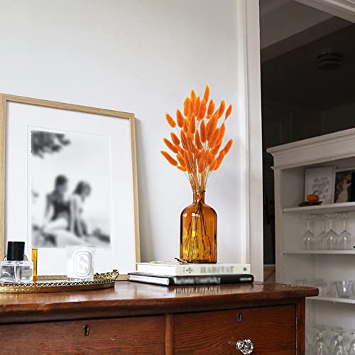 Uieke 17’’ Natural Bunny Tails Dried Flowers, 50 Pcs Dried Lagurus Ovatus, Dried Pampas Grass for Flower Arrangements Wedding Centerpieces Home Boho Baby Shower Party Fall Decorations (Orange) - color: Orange-50pcs