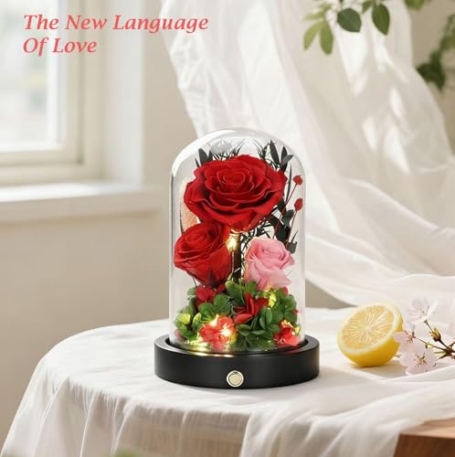 Red Roses Gifts for Women,Preserved Roses in Glass Dome, Forever Flowers for Delivery, Eternal Flower Mothers Day Anniversary Birthday Valentines Day Gifts for Wife Her Mom - color: New Red