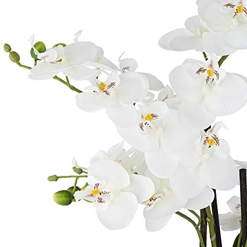 Dahlia Studios Potted Faux Artificial Flowers Arrangements Realistic White Phalaenopsis Orchid in Silver Pot Home Decoration Living Room Office Bedroom Bathroom Kitchen Dining Room 23" High