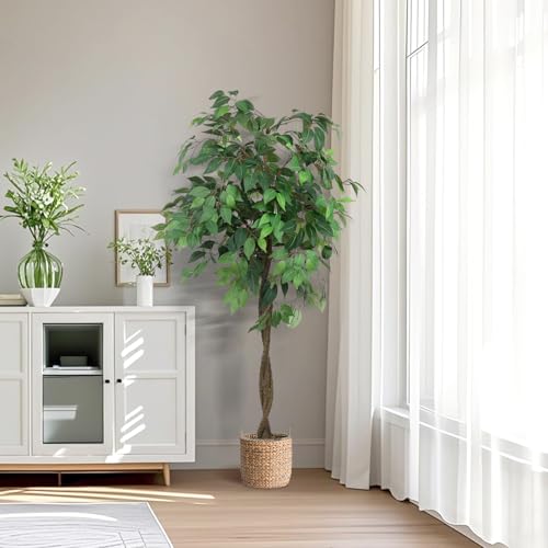 Elegant Faux Ficus Tree in a Designer Nursery Pot, high Density 756 Silver Leaves, A Stylish Addition to Office, Living Room, Upscale Home, Hotel, Booth, Indoor Outdoor Space. (6 feet)