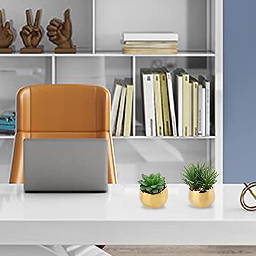 Briful Small Artificial Succulents in Pots Set of 3 Realistic Faux Succulents Plants with Gold Ceramic Pots Cute Mini Fake Plants Decor for Modern Home Table Office Desk Bathroom Shelf Decoration - color: Style #10
