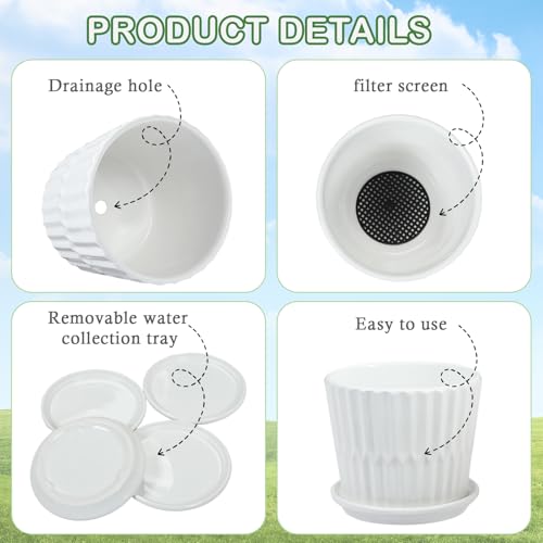sietpoek Plant Pots - 5.5 Inch Cylinder Ceramic Planters with Connected Saucer, Pots for Succuelnt and Little Snake Plants, Set of 4, White - size: 5.5 Inch