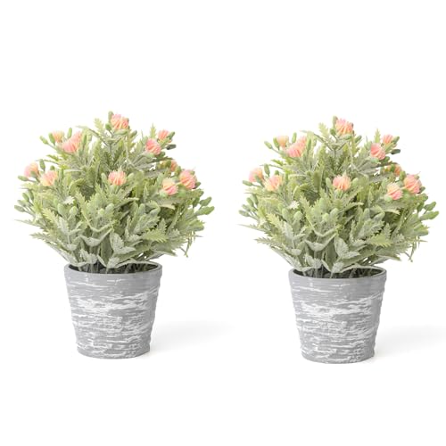 2 Pack Small Desk Plants, Artificial Bathroom Plants Decor with Flower in Vintage Melamine Pots, Faux Plants Indoor for Shelf Decor in Home Office, and Spring Decor (Peach) - color: Peach