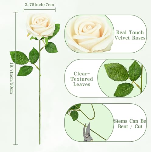 Waipfaru 50 Pcs Champagne Yellow Roses, Fake Roses Artificial Velet Flowers for Valentines Mothers Day Wedding Centerpieces Decor (Champagne) - color: Champagne, size: 50 Pcs
