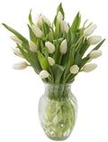 KaBloom - Bouquet of 20 White Tulips Farm-Fresh From Holland with Vase - Fresh Flowers for Birthday, Valentine's & Mother's Day - color: White, size: 20, style: With Vase