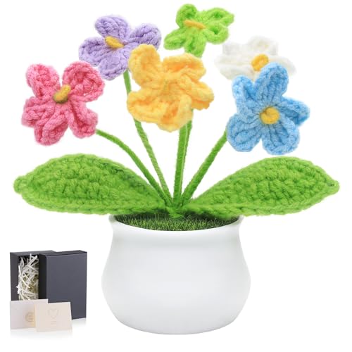 LAIDANLA Crochet Flowers Forget Me Not Potted Plant, Mini Handmade Knitted Flower for Desk, Crochet Flower in Pot, Unique Gifts for Women Teacher Mom Friend, Birthday Graduation - color: Colorful