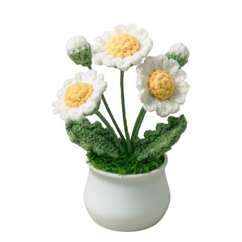 Joekaran Crochet Flowers Cute Little Potted Flower, Birthday Gifts for Women, Mother's Day, Teacher’s Day, Graduation, Anniversary, Desk Decor, Home Office Decoration (White Daisy) - color: White Daisy
