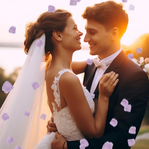 SITUMEIZI 3000PCS Artificial Silk Rose Petals Wedding Party Decoration Purple Rose Petals for Romantic Night for Her Set Flowers Petals Fake Rose Marriage Proposals Decor - color: Purple, size: 3000