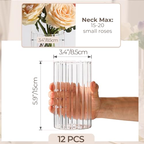 ComSaf Glass Cylinder Vases Pack of 12, Clear Ribbed Bud Vases for Centerpieces Weeding Decoration, 6 inch Tall Clear Flower Vases in Bulk, Hurricane Candle Holder for Party Home Decor - size: 6 Inch Tall (Uniform)
