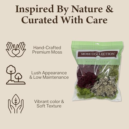Quality Growers - The Moss Collection Variety Pack - Natural Decorative Moss - Crafts, Home Decor, Art, Design & DIY Projects - Non-Toxic - Made in USA - Red Mix, Medium, 2-Pack - color: Red Mix, size: Medium (2-Pack)