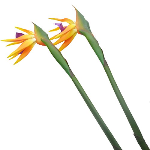 Calcifer 32'' Real Touch Bird of Paradise Artificial Flowers Bouquet for Home Garden Decoration/Wedding Party Decor Orange (Package Quantity: 5 Stems) - color: Package Quantity: 5 Stems