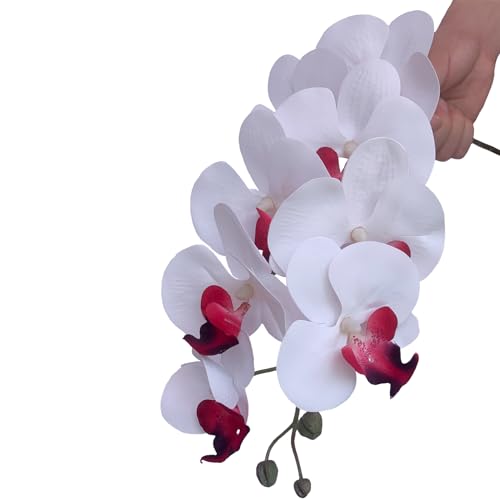 FagusHome 32 Inch Artificial Phalaenopsis Flowers 6 Pcs Artificial Orchid Flowers Stem Plants for Home Décor (Pure White) - color: Pure White
