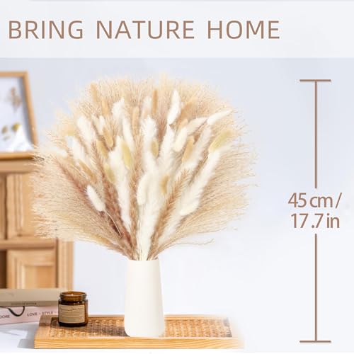 Dried Pampas Grass Bouquet White and Brown Boho Floral Arrangement Wedding Decor and Rustic Home Decor Faux Pampas Grass Tall Centerpiece for Table and Vase (Beige Cloud Bouquet) - color: Beige Cloud Bouquet