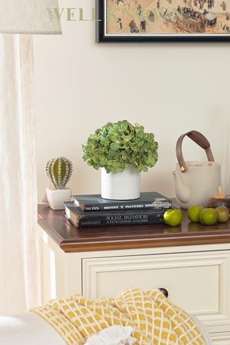 Hydrangea Fake Flowers in Vase, Artificial Flowers with Ceramic Vase Small Faux Potted Plant Arrangements for Bathroom Home Desk Kitchen Counter Vanity Shelf Coffee Table Centerpiece Decor (Green) - color: Hydrangea, Green