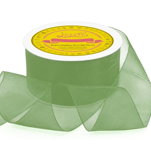 Light Green Organza Ribbon 2 inch x 50 Yards Sheer Chiffon Ribbon for Gift Wrapping Wedding Invitations Party Decoration Bridal Bouquets Crafts - color: Light Green, size: 2" X 50 Yards