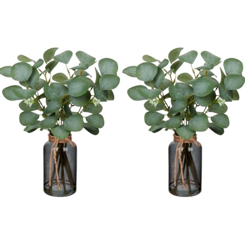 Briful Artificial Eucalyptus Stems in Black Glass Vase with Faux Water, 14" Fake Plant Eucalyptus Leaves for Home Office Farmhouse Wedding Centerpiece Décor, 2 Packs - color: Black Dual
