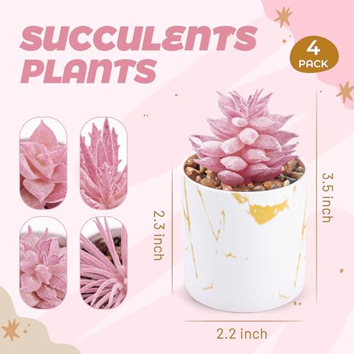 Der Rose Set of 4 Succulents Plants Artificial for Office Desk Accessories for Women Pink Home Decor - color: 4-pink