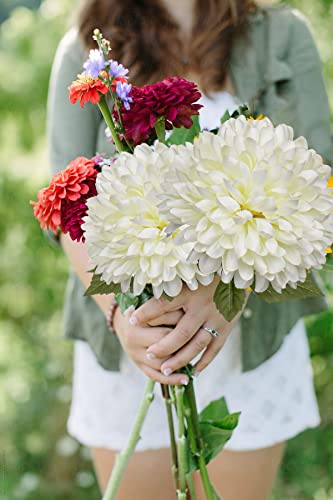 Briful Autumn Artificial Chrysanthemums Ball Flowers 6’’ Large Heads Mums Stems Cream White Fake Hydrangea Flowers Bridal Wedding Bouquet for Home Garden Party Wedding Decoration, Set of 4 - color: 6'' Dia. 4pcs Cream White