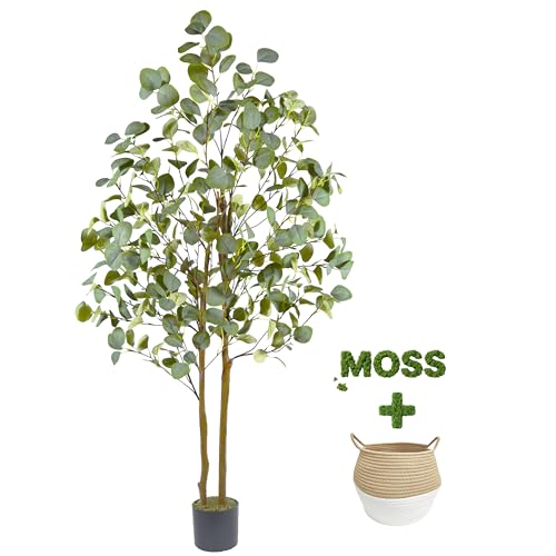Warmplants Artificial Eucalyptus Tree, 5ft Tall Fake Eucalyptus Plant with Woven Basket, 60'' Silk Leaves Faux Tree for Indoor Home Office Livingroom Garden Floor Décor - color: Eucalyptus, size: 5ft