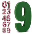 Leinuosen 12 Inch Dry and Wet Floral Foam Numbers Blocks Green Foam Blocks for Fresh and Artificial Flowers for Weddings Birthday Flower Arrangement Craft Project Garden Decoration(Number 9) - style: Number 9