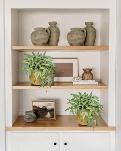 Briful Faux Plants Indoor 9'' Small Artificial Plant with Gold Pot Fake Pteris Cretica Fern Plant for Home Office Room Desk Shelf Decor Indoor - color: Gold