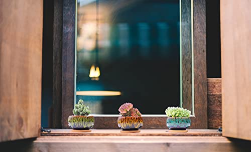 Cute Ceramic Succulent Garden Pots, Planter with Drainage and Attached Saucer, Set of 5 -Plants Not Included (Round) - color: Round