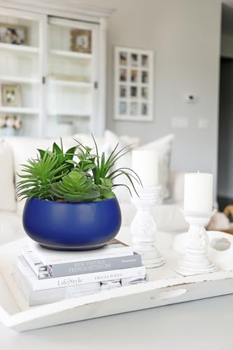 Hollyone Fake Plants Artificial Succulents in Pots Faux Succulent Arrangement Potted Plant in Blue Ceramic Planter Bowl for Home Decor Office Desk Bathroom Shelf Living Room Indoor Decorations - color: Premium Blue