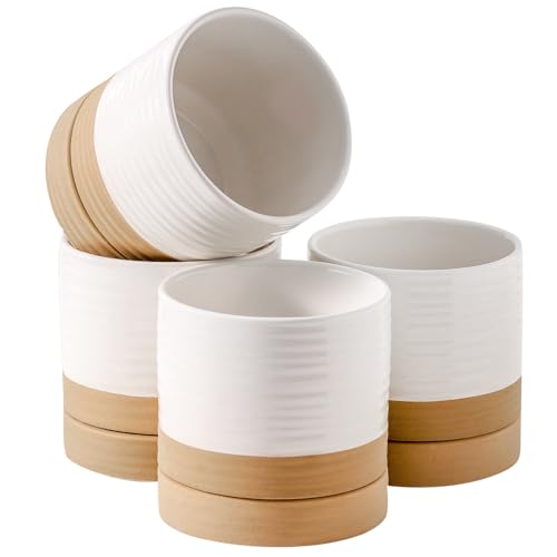 HASENSE Ceramic Plant Pots with Saucers Set of 4, 4.6 Inch Planters for Indoor Plants with Drainage Holes,Two-Tone White Flower Pots for Succulents, Snake Plants & Cactus, Farmhouse Desktop Decor - color: White
