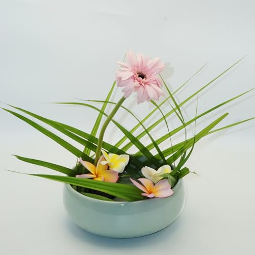 Water Lotus Bowl Planter Kit - Japanese Compote Bowl Ikebana Vase Set w/ 1.8" Floral Frog- Ideal for Ikebana, Flower Arrangement & Hydroponic Planting (Ice Crackle Celadon) - color: Crackle Celadon