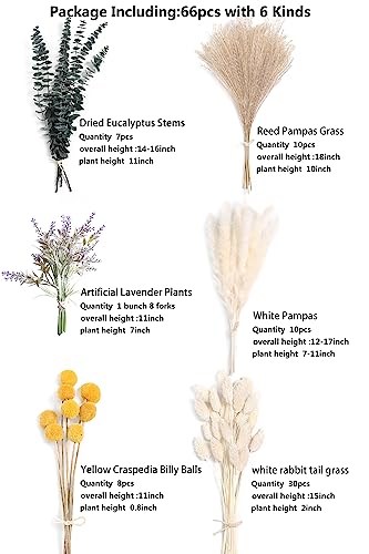 Serra Flora Natural Dried Pampas Eucalyptus Rabbit Tail Grass,(Pack of 66pcs) with 6 Kinds of DIY Bridal Artificial Bouquets Home Decor Wedding Floral Arrangement Table Centerpieces - color: Natural，green，white