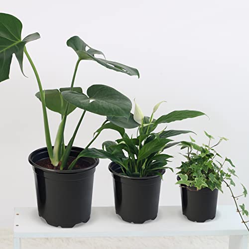 RAOOKIF 100 Pack Nursery Pots, 4 5 6 Inch Nursery Pot for Plants, Plastic Plant Pots with Drainage Holes, Garden Flower Pots for Transplanting, Succulents, Cuttings, Seedlings(4inch,100pcs) - size: 4 Inch