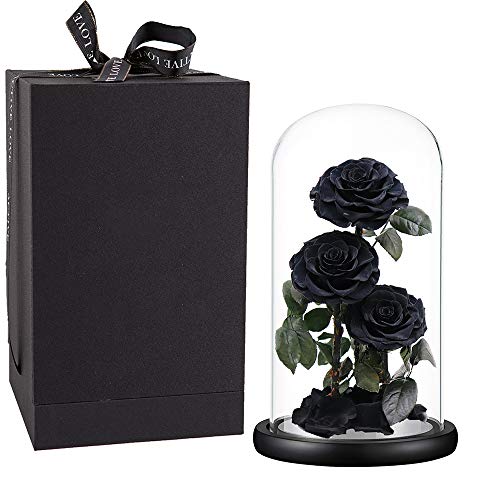Preserved Roses Handmade Preserved Flowers in Glass Dome, Black Roses Never Withered, Birthday Gifts for Her (13 inch) - color: Black, size: X-Large