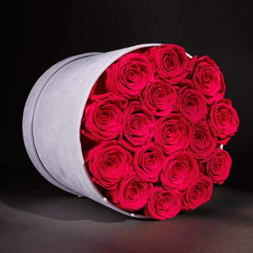 Prifroti 17 Flowers in a Luxury Suede Box, Birthday Gifts for Women, Preserved Flowers, Mothers Day Roses Gift for Mom, Hot Pink - color: Hot Pink, size: 17 Roses