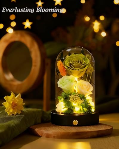 Preserved Flowers in Glass Dome with LED Light, Forever Flowers for Delivery, Eternal Roses Gifts for Women Mom Girlfriend Wife . Valentines Day Mothers Day Anniversary Birthday Gifts For Her(Green) - color: New Green