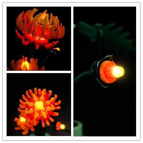 LED Light Kit for Lego Icons Chrysanthemum Flower Décor Building Set, Compatible with Lego 10368, Decoration Lights Gift (Only Light, No Building Models) - color: Chrysanthemum Flower 10368, size: Standard Version