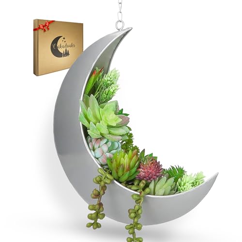 Hanging Moon Planter for Moon Room Decor - Great for Succulents, Air Plant, Mini Cactus, Faux, Artificial Plants-Boho Hanging Planters for Indoor Plants, Witchy Gifts for Women, Birthdays,Plant Lovers - color: Silver Moon Planter Only