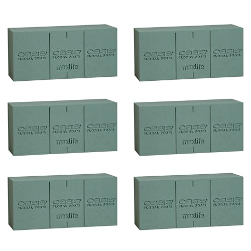 Oasis® Floral Foam MaxLife – Standard Size Floral Foam Bricks, Pack of 6 – Professional Hydration & Secure Stem Support for Fresh Flower Arrangements