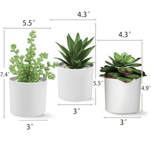 Hopewood Succulent Plants Artificial in White Pots Small Faux Potted Succulents Fake Plants in Vase Set of 3 - color: Faux Plants-white