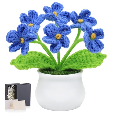 LAIDANLA Blue Crochet Flowers Forget Me Not, Mini Handmade Flower Potted Plants for Desk, Anniversary Appreciation Graduation Birthday Gifts for Women Friend Teacher Coworker - color: Blue